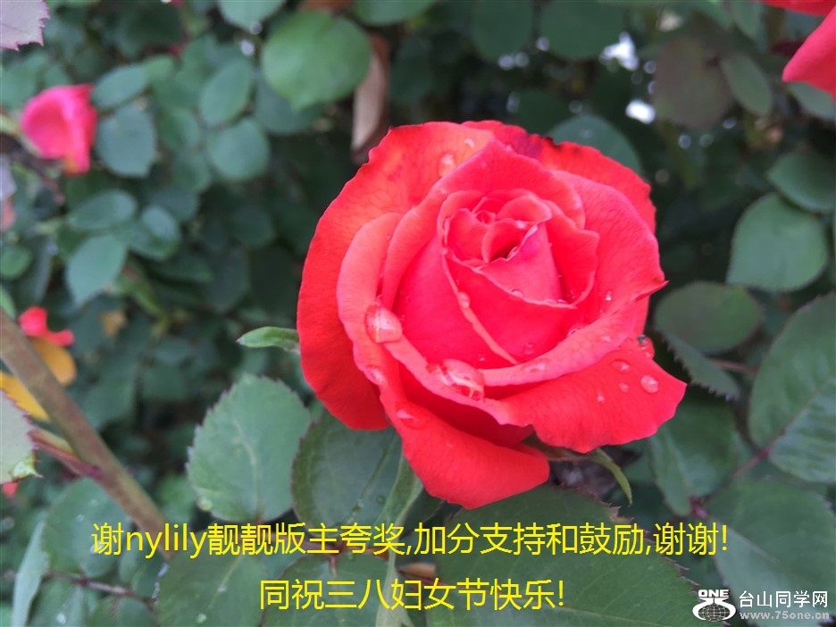 лnylily佱,ӷֺ֧͹,лл!ͬף˸Ůڿ!.jpg