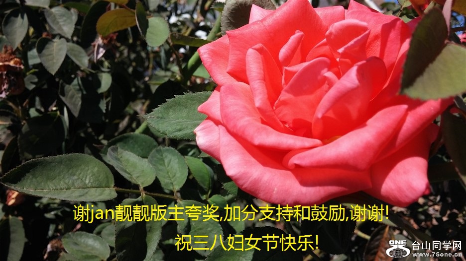 лjan佱,ӷֺ֧͹,лл!ף˸Ůڿ!.jpg