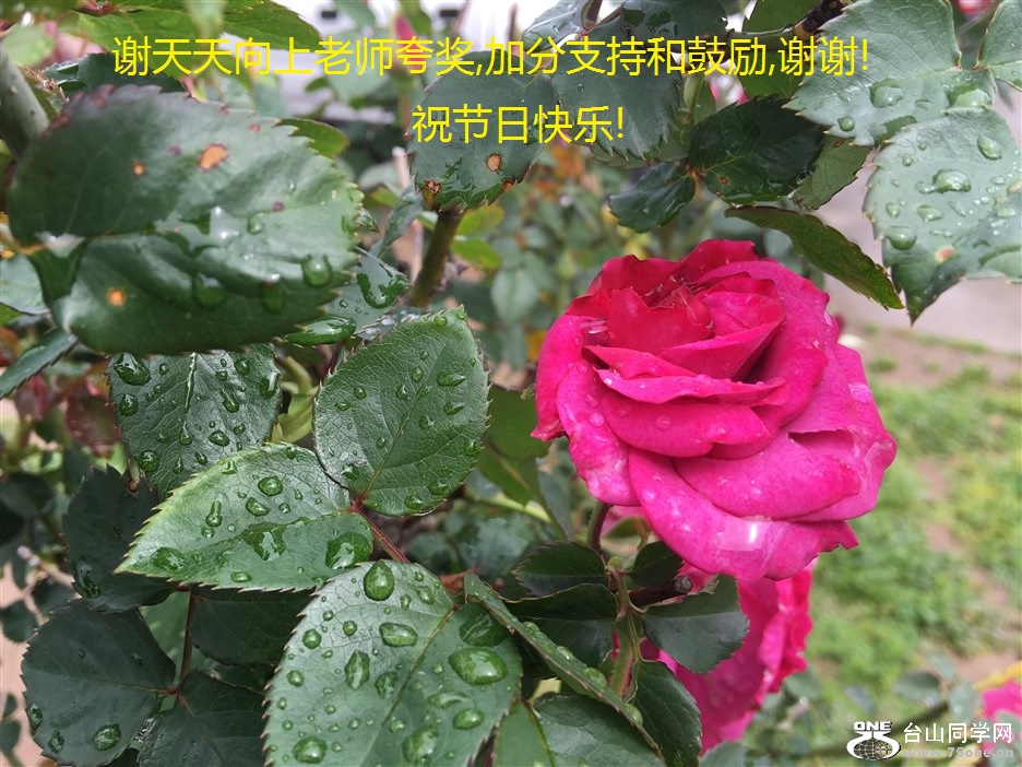 лʦ佱,ӷֺ֧͹,лл!ףտ!.jpg