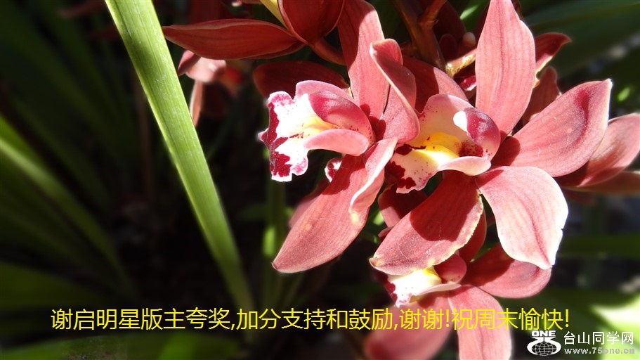 лǰ佱,ӷֺ֧͹,лл!ףĩ!.jpg