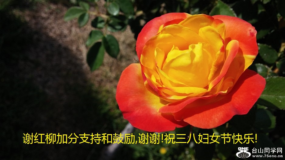 лӷֺ֧͹,лл!ף˸Ůڿ!.jpg