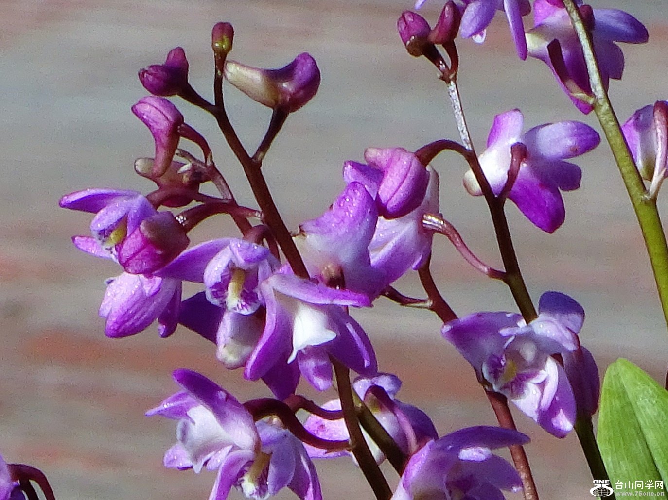 DSC04641.JPG