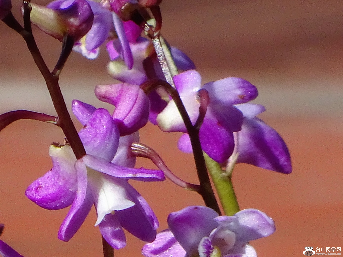 DSC04640.JPG