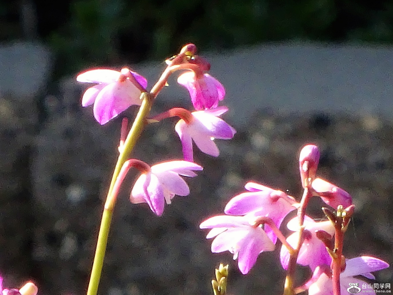 DSC04646.JPG