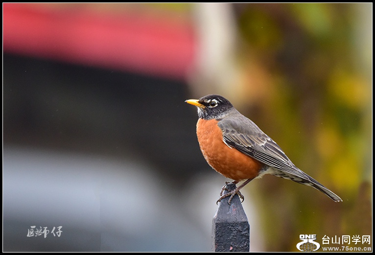 DSC_2981.jpg