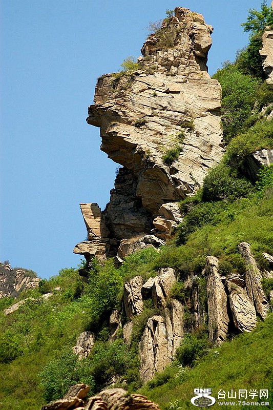 DSC_001.jpg