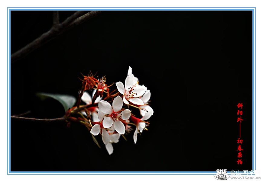 DPP_201.2.140326_.jpg
