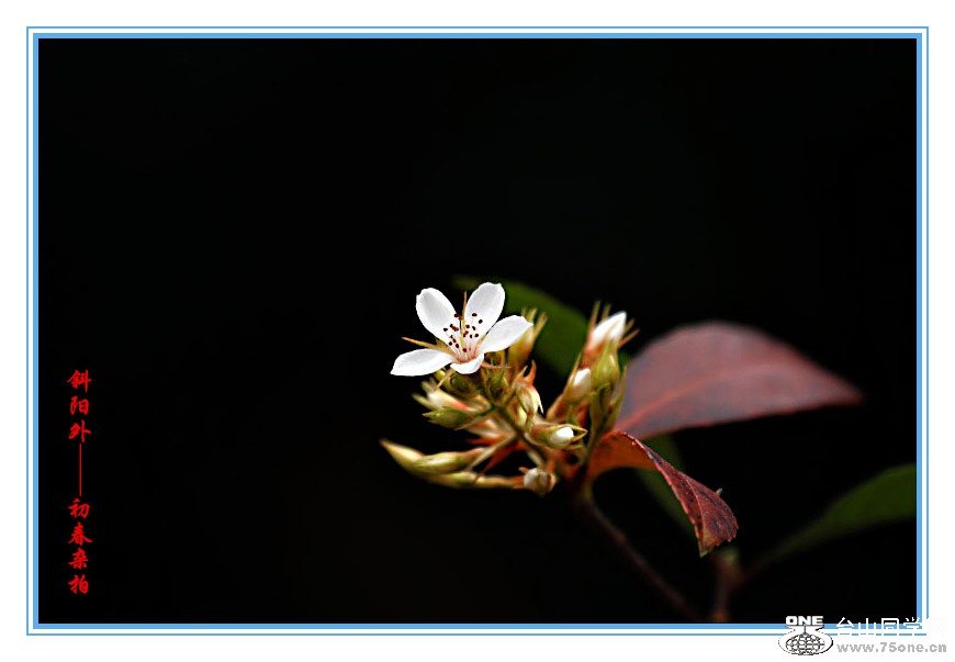DPP_201.2.140319_.jpg