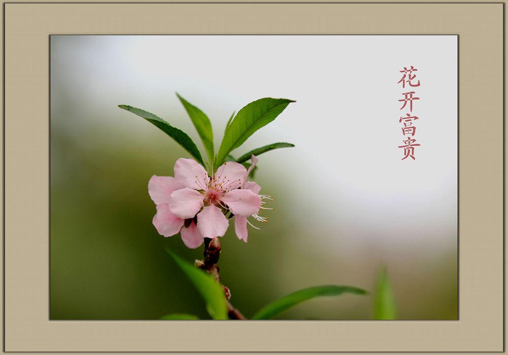 IMG_8157___.jpg