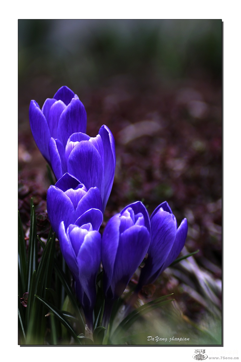 FR0A7295-1A.jpg