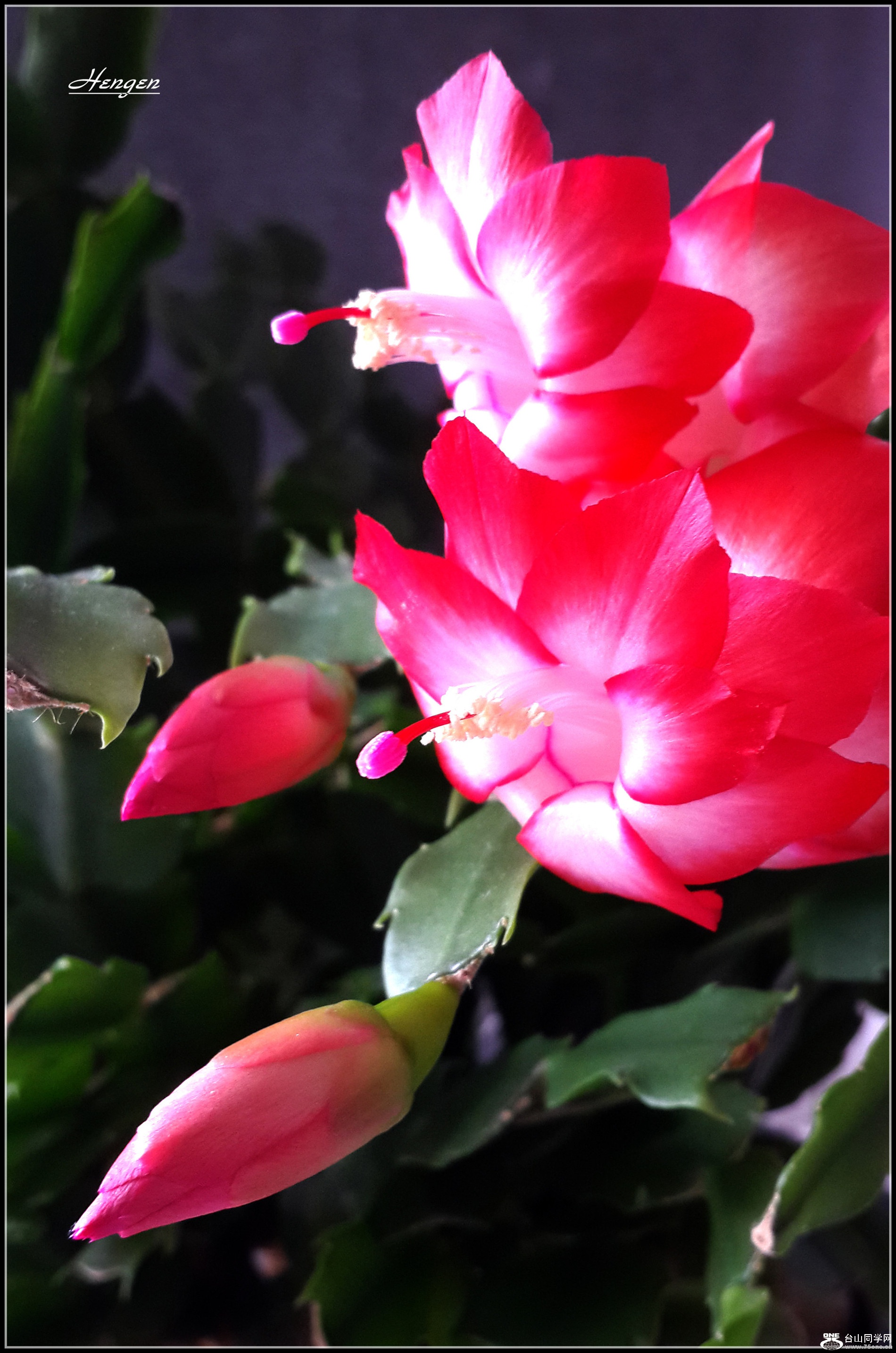 20160316_110051_.jpg