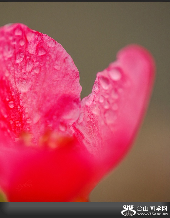 DSC_7750_.jpg