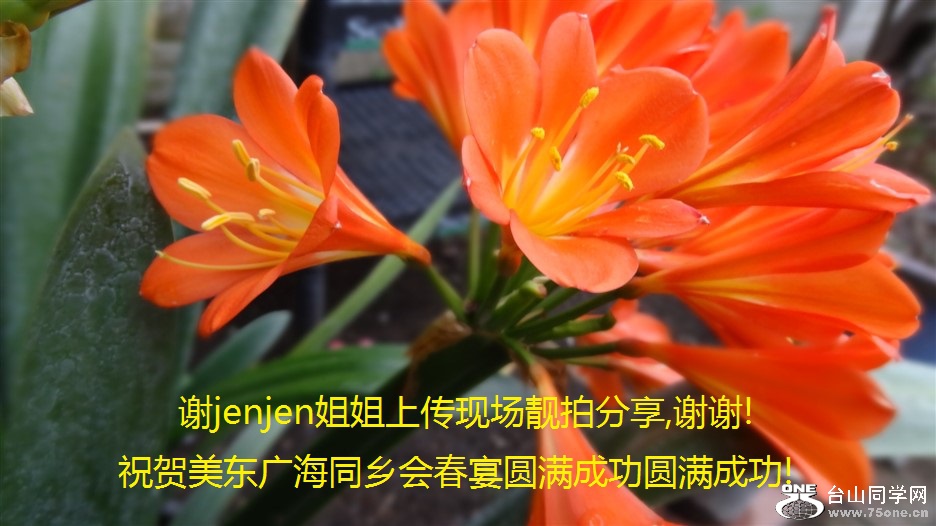 лjenjenϴֳķ,лл!ף㺣ͬᴺԲɹԲɹ!.jpg