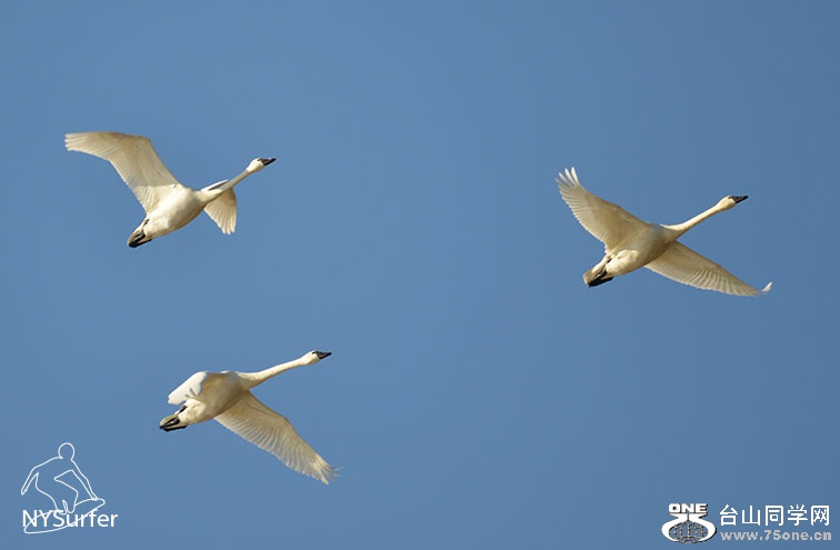 DSC_62446.jpg