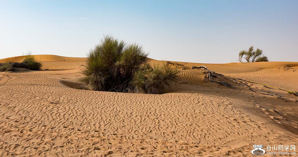 214.jpg
