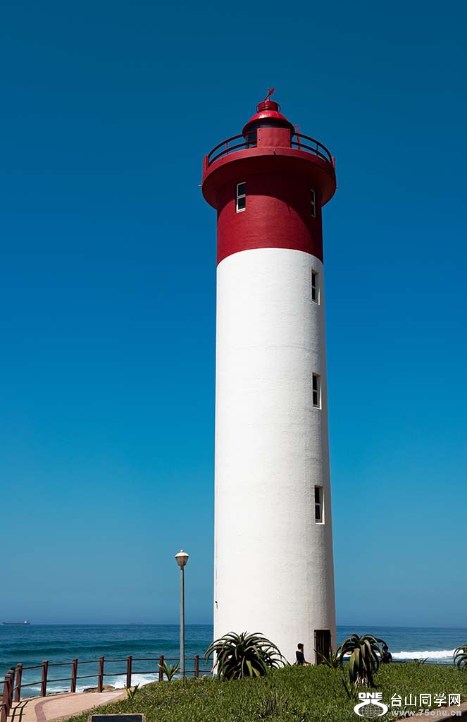 971.jpg