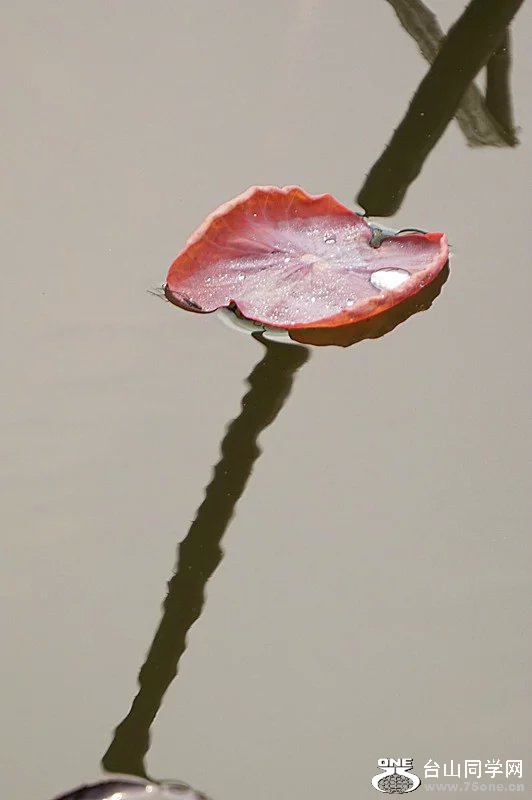 psb (15).jpg