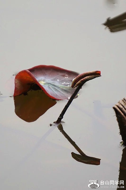 psb (9).jpg