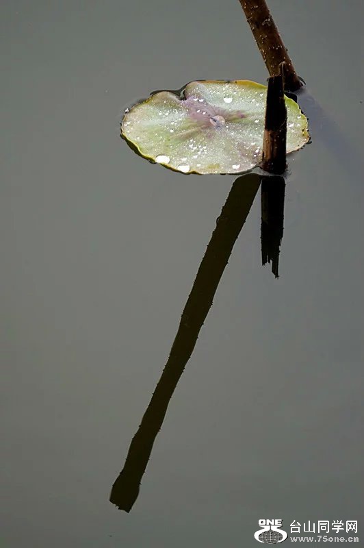 psb (16).jpg