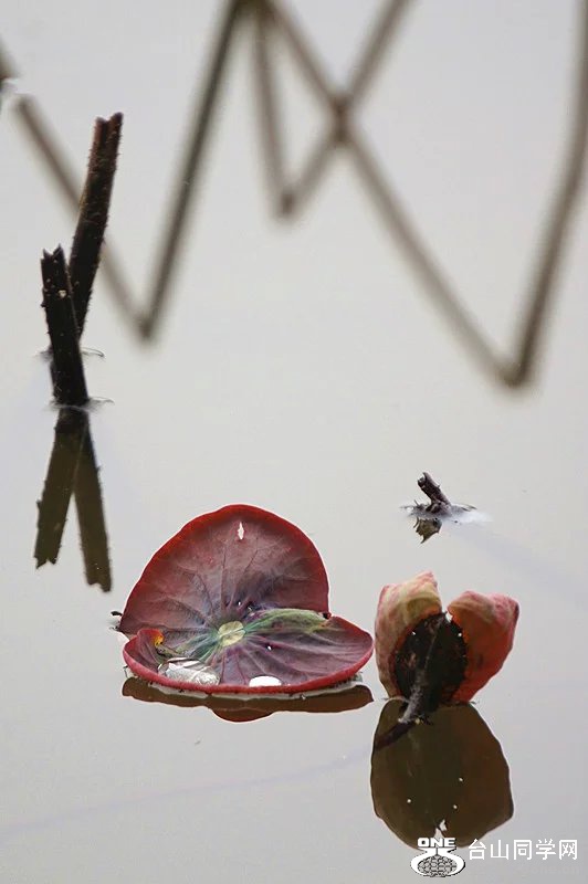 psb (8).jpg