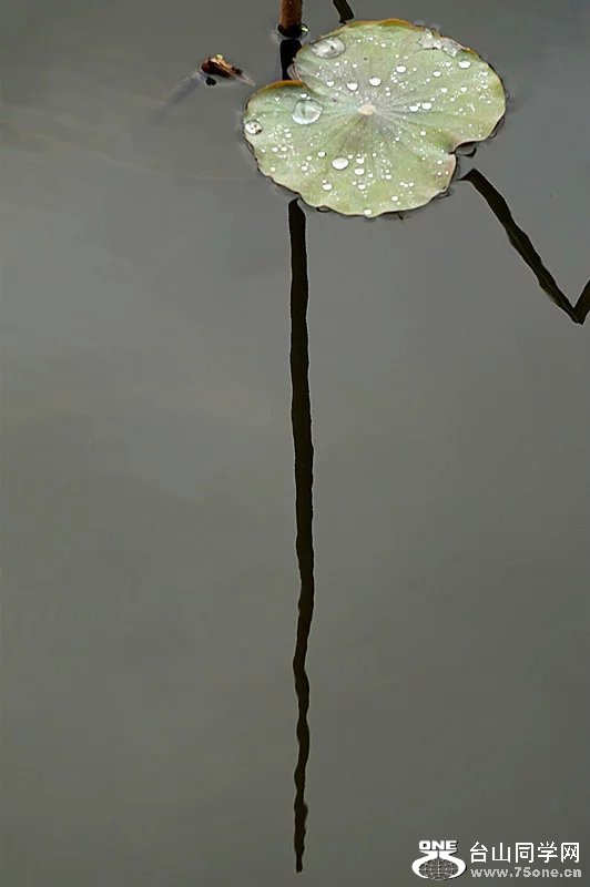 psb (17).jpg