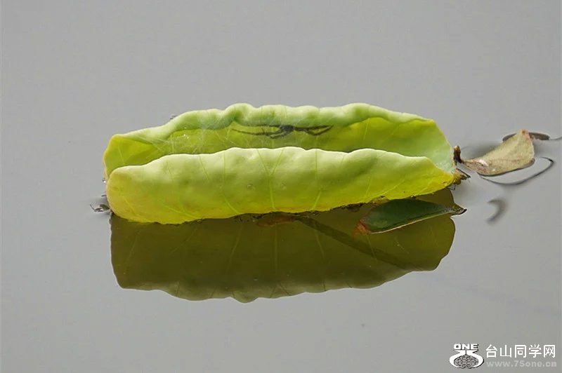 psb (25).jpg