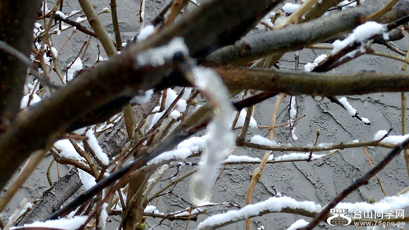 20160315_161200_HDR.jpg