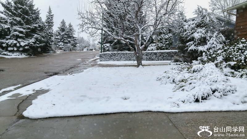 20160315_155317_HDR.jpg