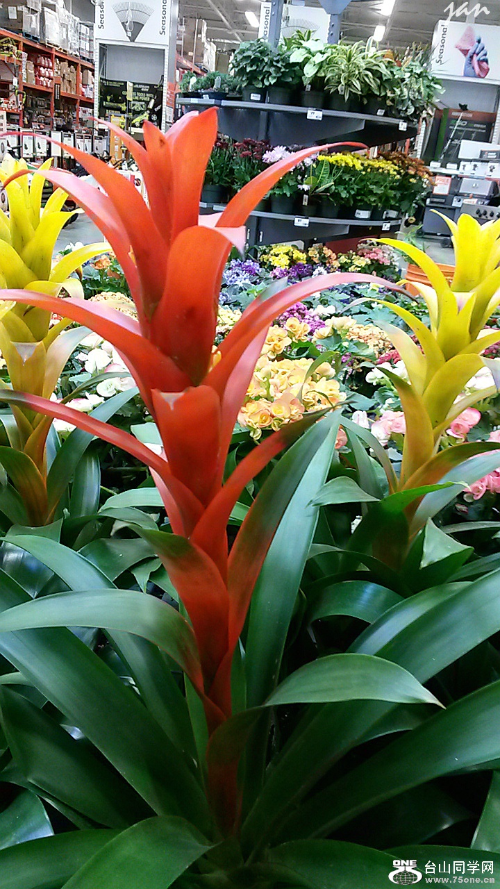 20140720_190624.jpg