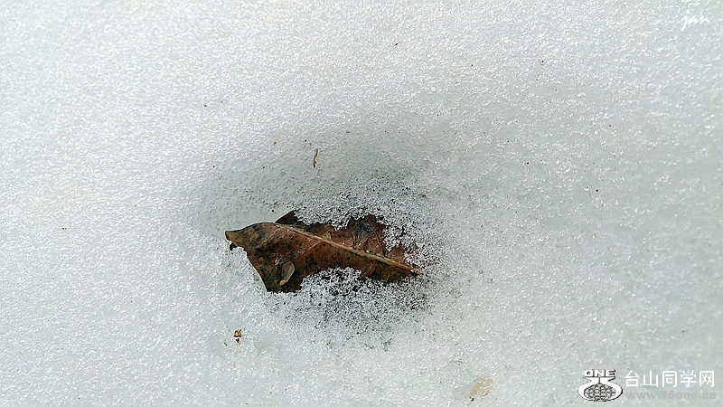 20160304_161856_HDR.jpg