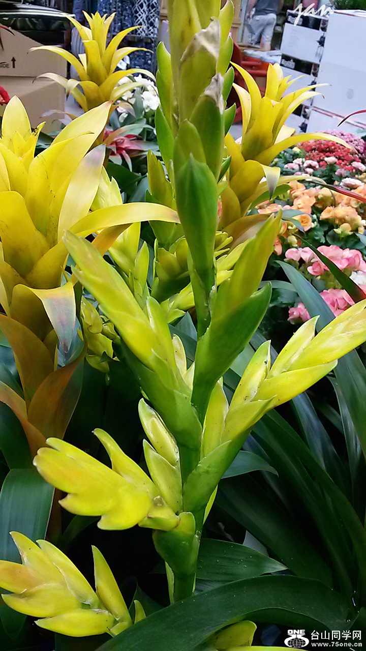 20140720_190615.jpg