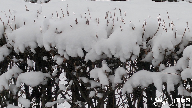 20160316_073044_HDR.jpg
