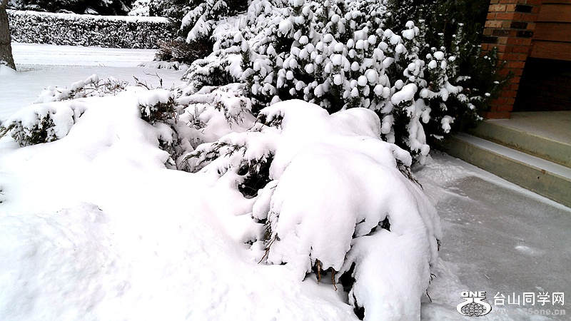 20160316_073157_HDR.jpg