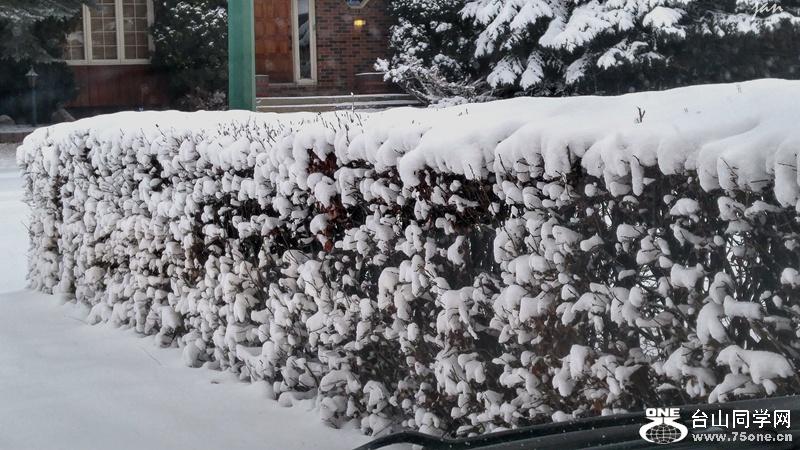 20160316_073035_HDR.jpg