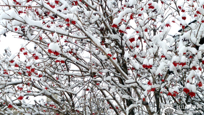 20160316_072904_HDR.jpg