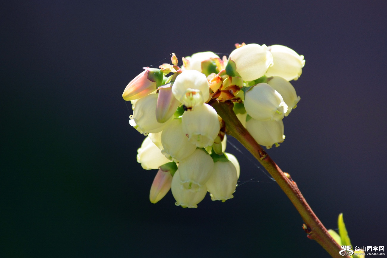 DSC_4749_18.jpg