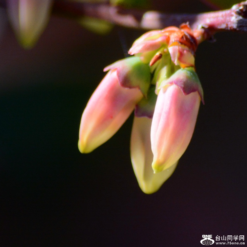 DSC_4679_22.jpg