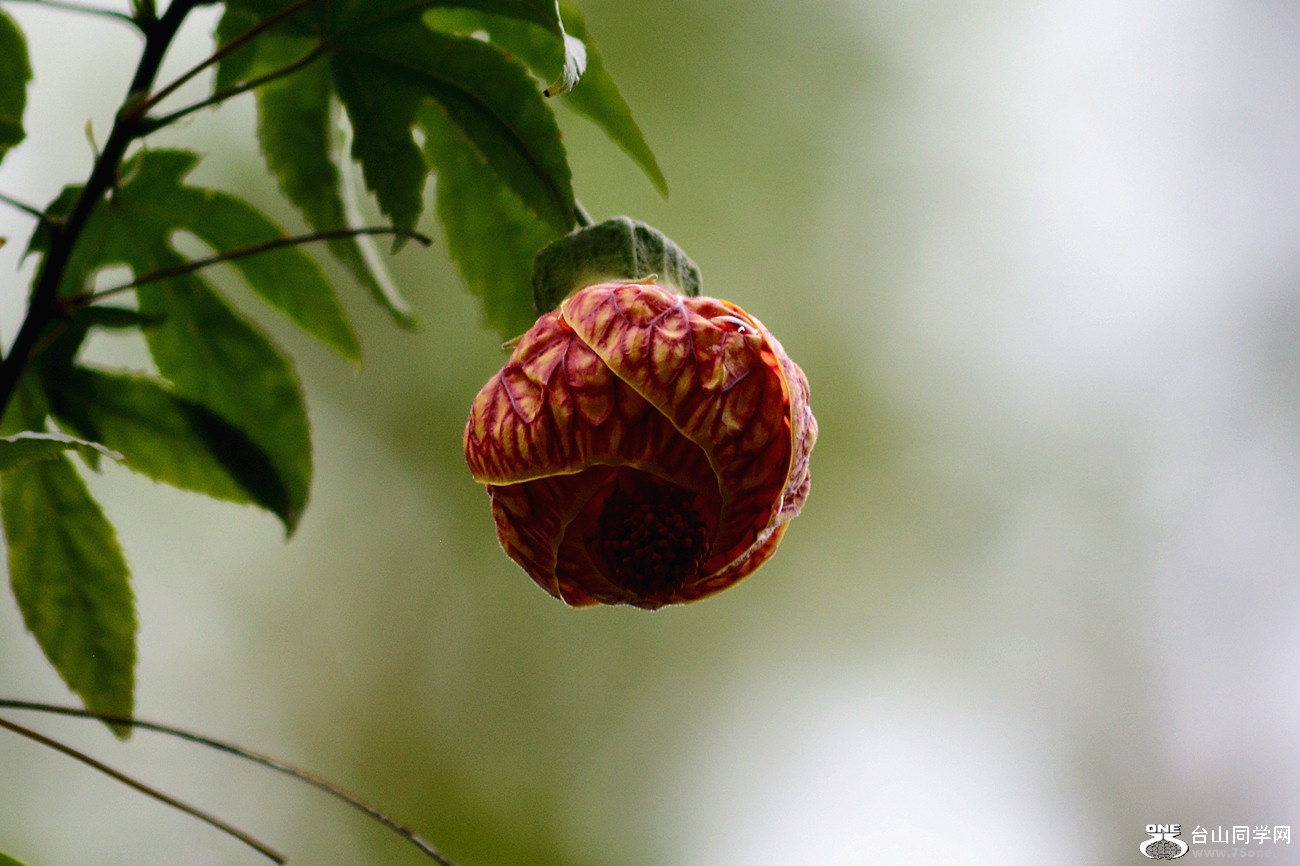 DSC_5187_.jpg