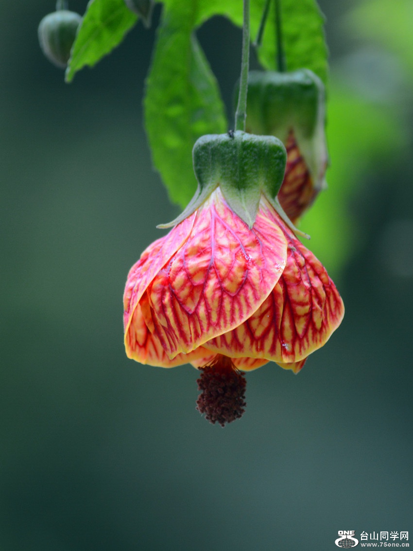 DSC_5097_32.jpg