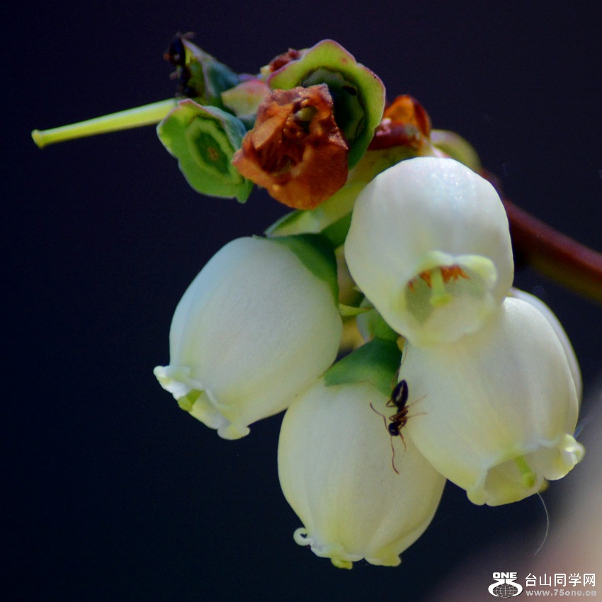 DSC_4779_34.jpg