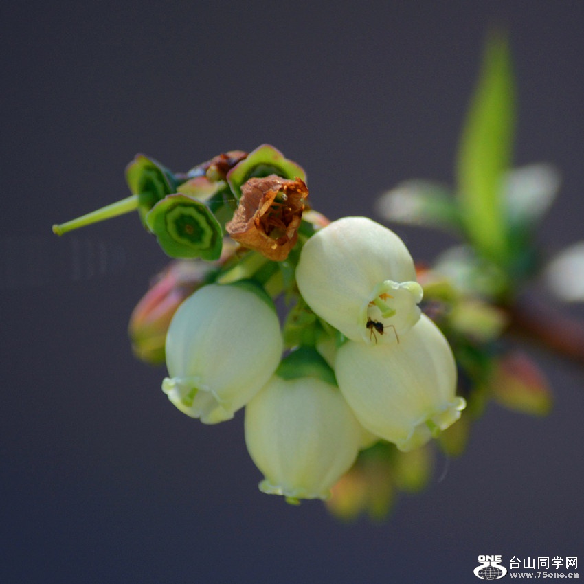DSC_4768_36.jpg