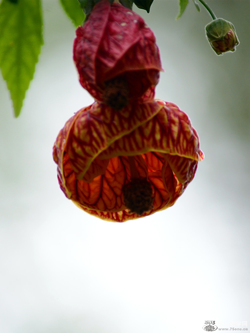 DSC_5183_2.jpg