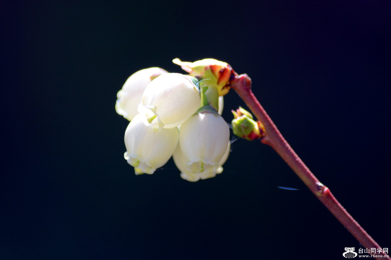 DSC_4641_4.jpg