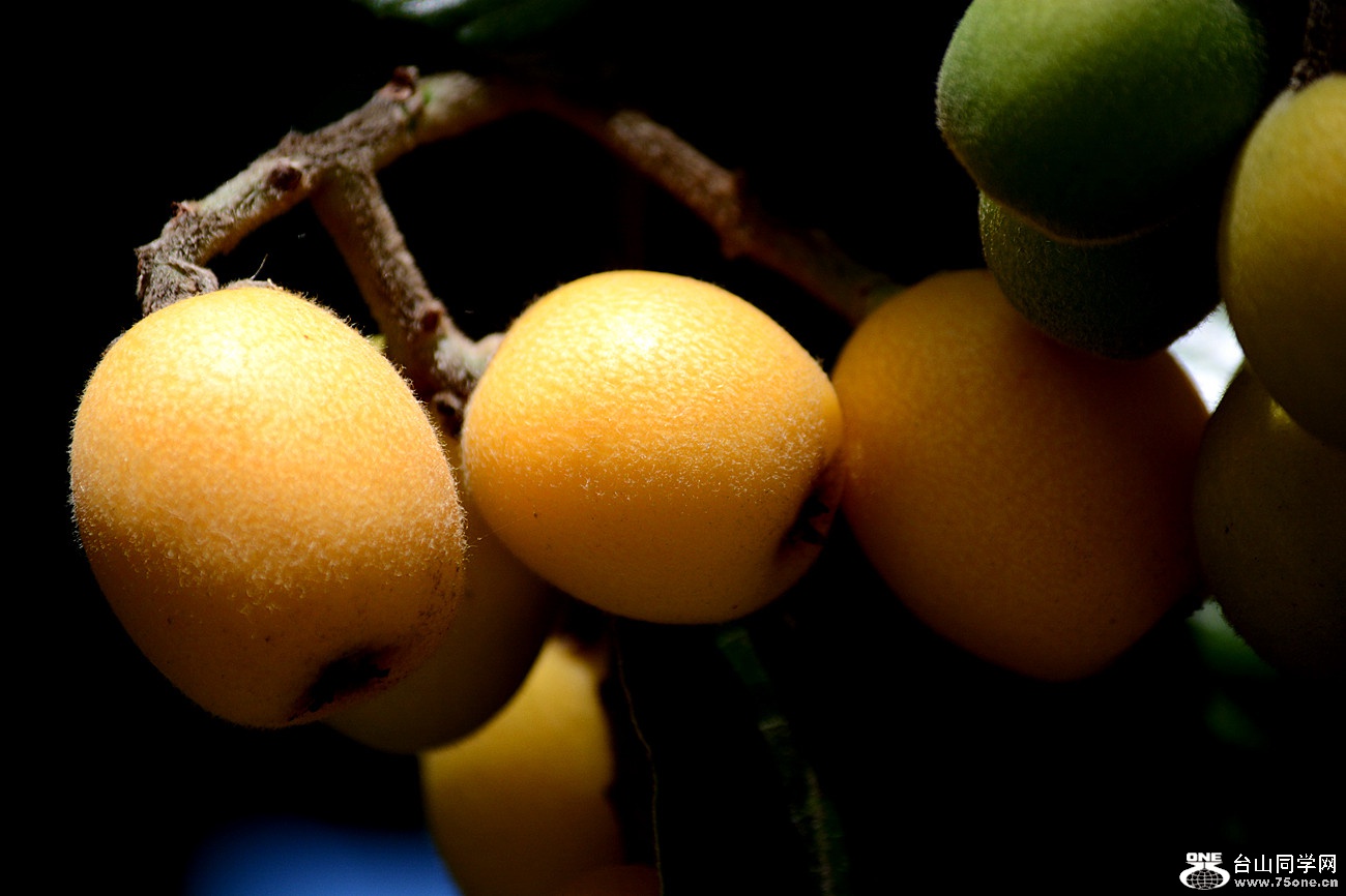 DSC_4956_36.jpg