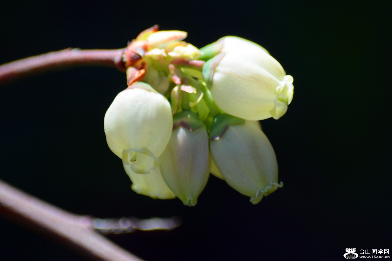 DSC_4761_15.jpg