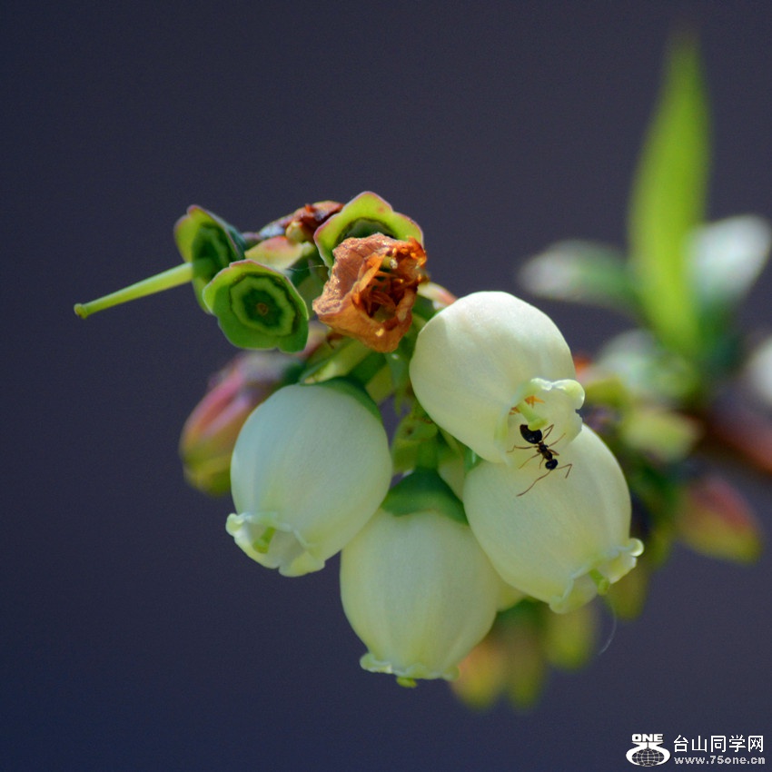 DSC_4772_35.jpg