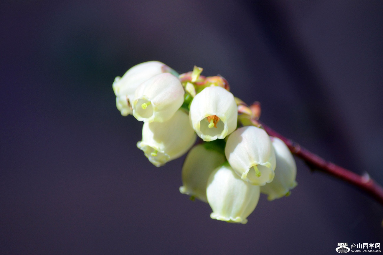 DSC_4730_40.jpg