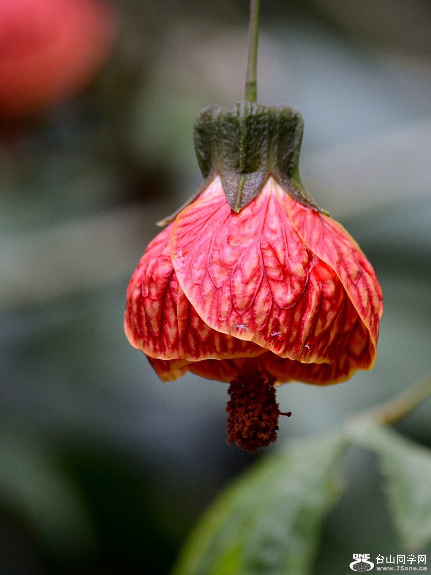 DSC_5166_9.jpg