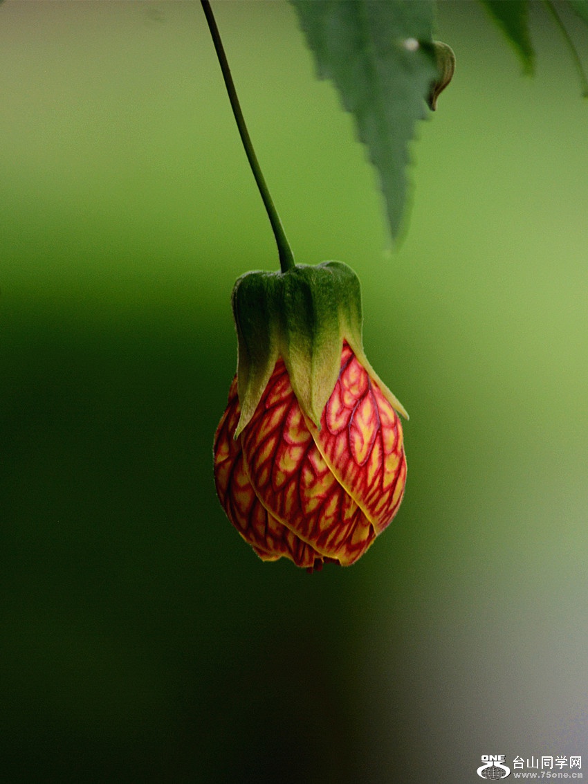DSC_5145_18.jpg