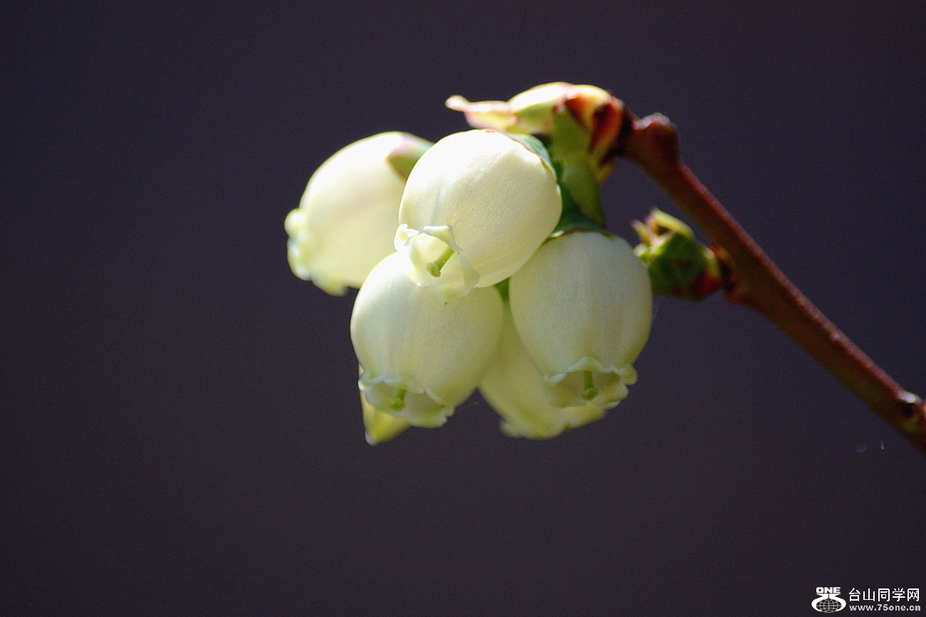 DSC_4754_17.jpg